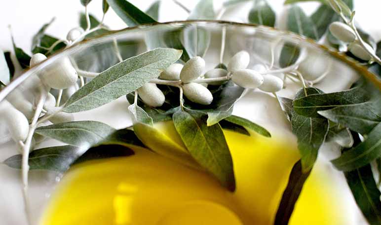 Cómo quitar las garrapatas con aceite de oliva