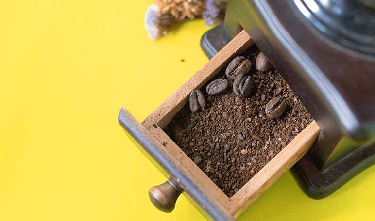 Repelente de café para las pulgas - Trucos de hogar caseros