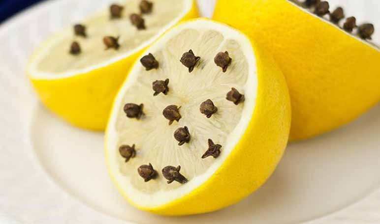 Limón y clavo para elaborar un repelente natural - Trucos de hogar caseros