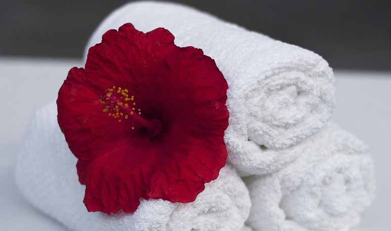 Cómo lavar toallas con amoniaco - Trucos de hogar