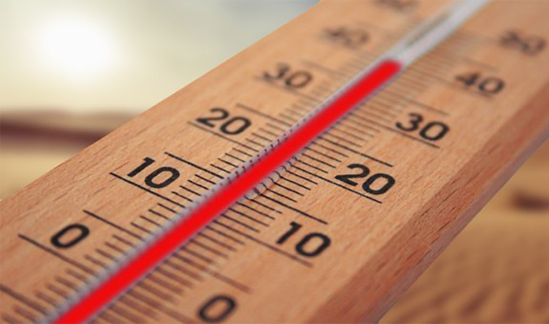 ¿Qué herramienta no debe faltar para medir la temperatura en la cocina? - Trucos de hogar