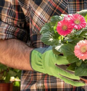 5 consejos para decorar con jardineras - Trucos de hogar