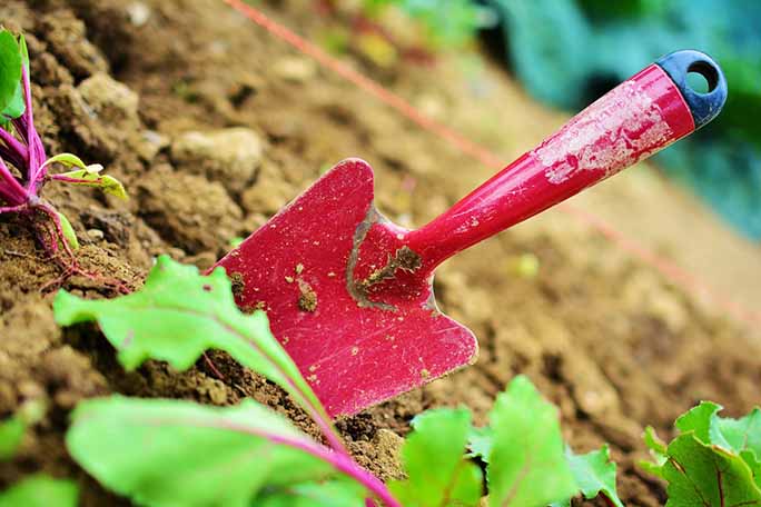 5 consejos para decorar con jardineras - Trucos de hogar