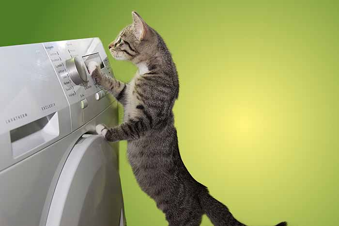 Cómo instalar una secadora: guía práctica paso a paso